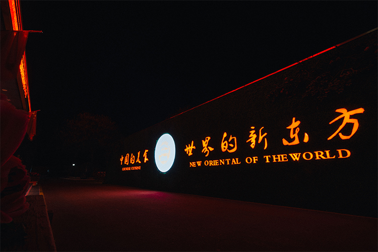金刚娱乐